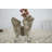 Fabdivine 18X18 Inch Duck Canvas Table Napkin Block Print 6 Kamal, Green