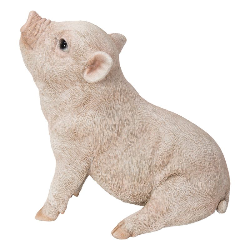 Bébé cochon assis, Rose