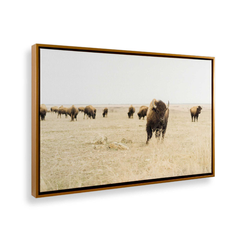 Impression sur toile Wild Plains, H 24,75 po x l 36,75 po x P 1,75 po, Cadre flottant or poli