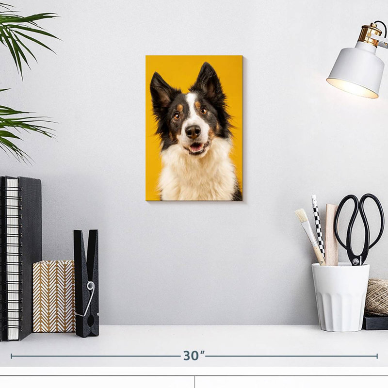 Brampt Adorable Border Collie, 12" H x 8" W
