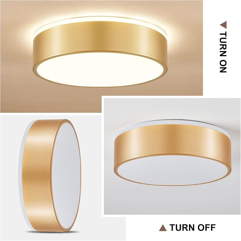 Flat Mounted Ceiling Light
