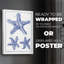 Blue Sea Stars V - Impression sur toile seulement - NON-CADRE-1074657275
