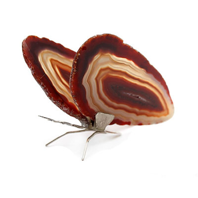 Figurine papillon Desriee