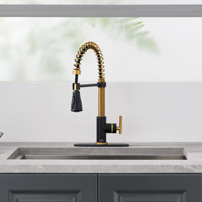 Bolden CASAINC 1.8 GPM Britt Commercial Style Pull Down Single Handle Kitchen Faucet