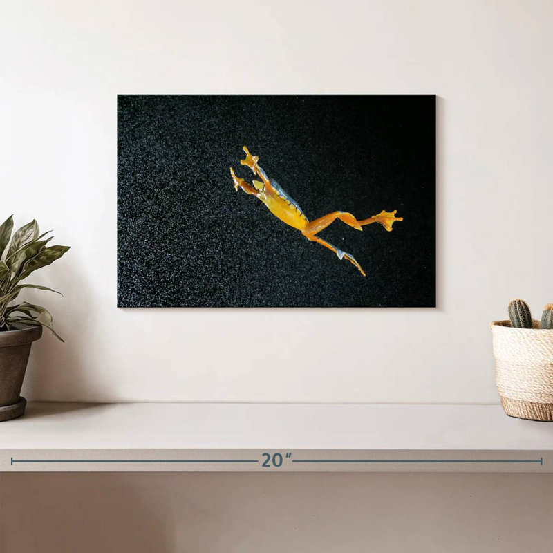Leaping Leaf Frog, 8" H x 12" W