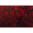 Greggs Red Rug 2'6" x 6'0"