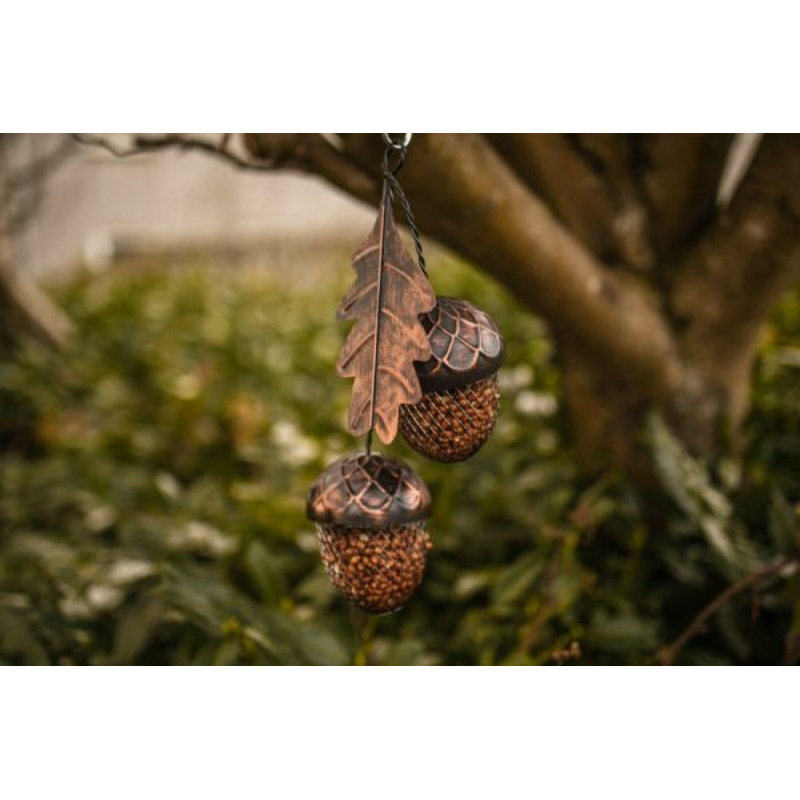 Jody Metal Hanging Decorative Bird Feeder