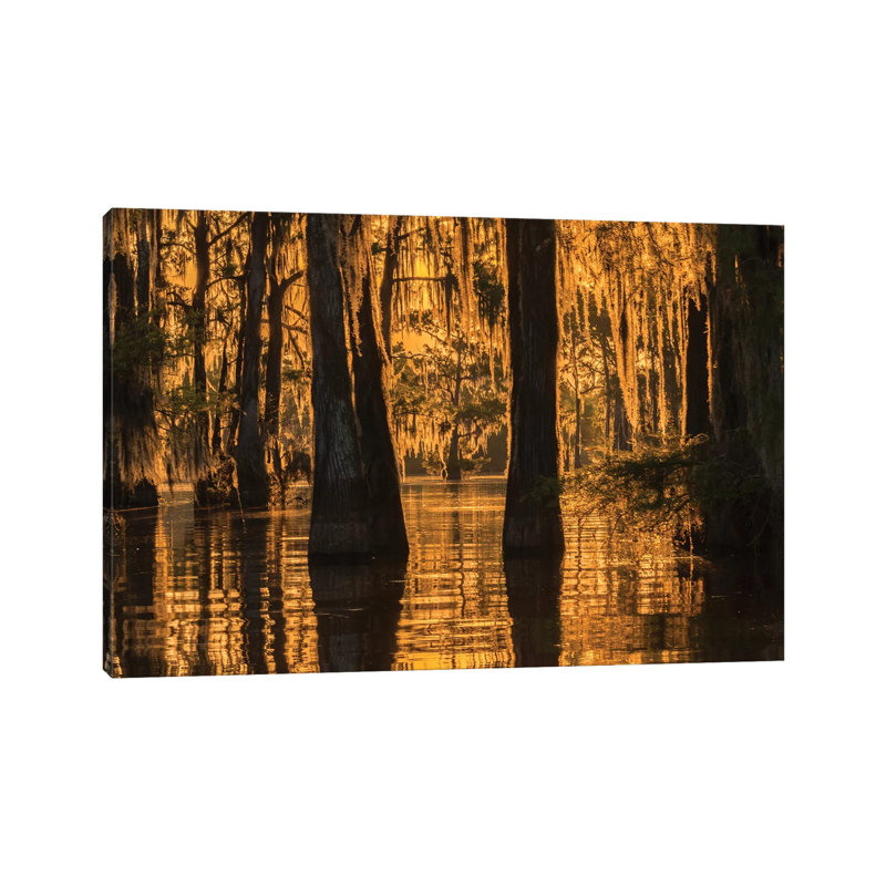 USA, Louisiana, Atchafalaya National Wildlife Refuge. Sunrise On Swamp. by Jaynes Gallery - Wrapped Canvas Gallery-Wrapped Canvas Giclée