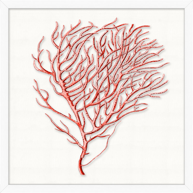 Red Branch Coral 6 par Lillian August - cadre photo, impression sur acrylique
