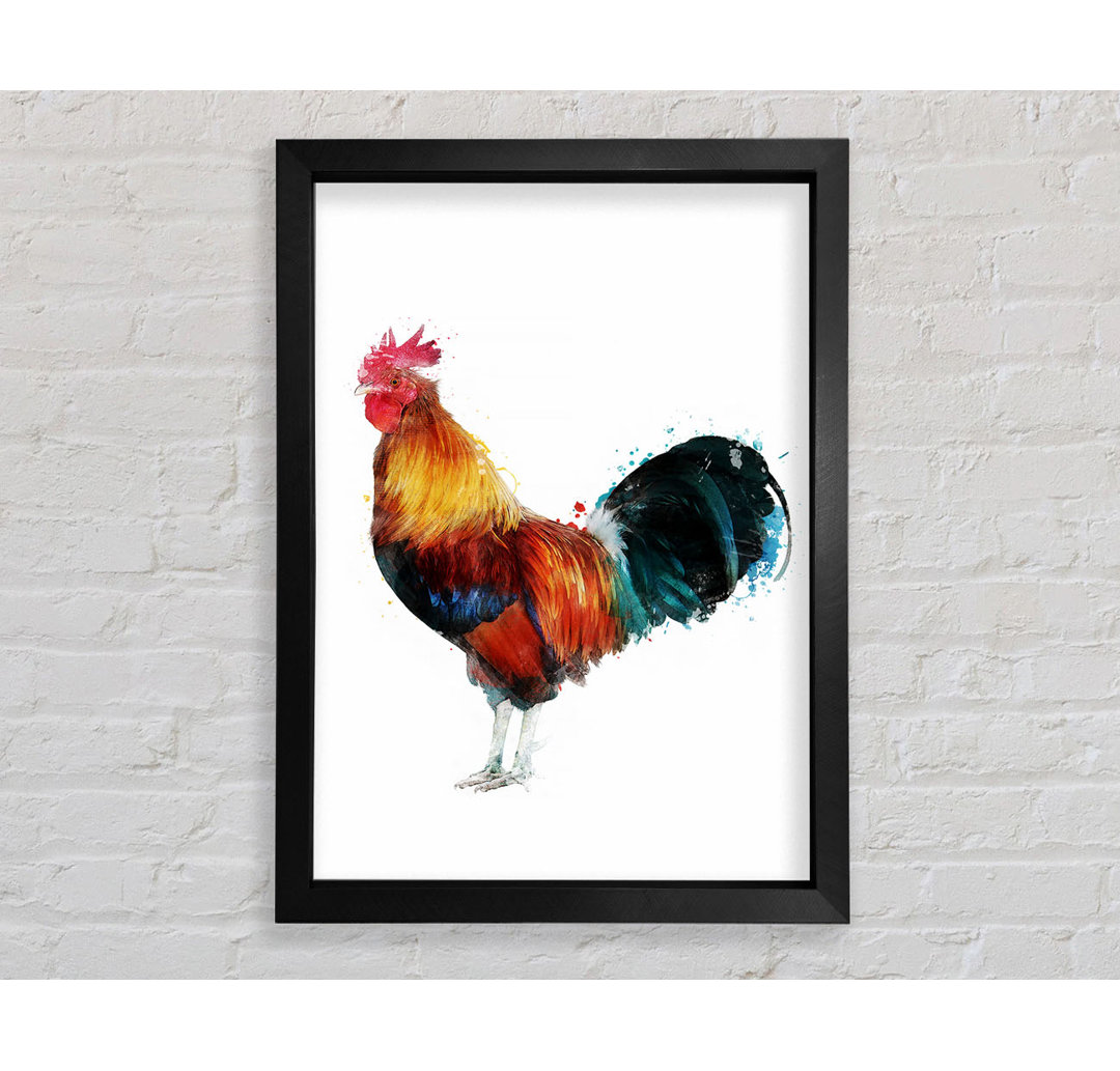 Rooster - Einzelner Bilderrahmen Kunstdrucke