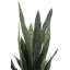 40" Artificial Snake Plant in Black Pot