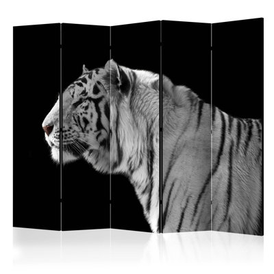 225cm W x 172cm H 5 - Panel Acoustic Room Divider Folding Room Divider