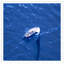 View From Above the Sail Framed Photographic Print
