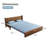 Saral Upholstered 67.7'' Sofa