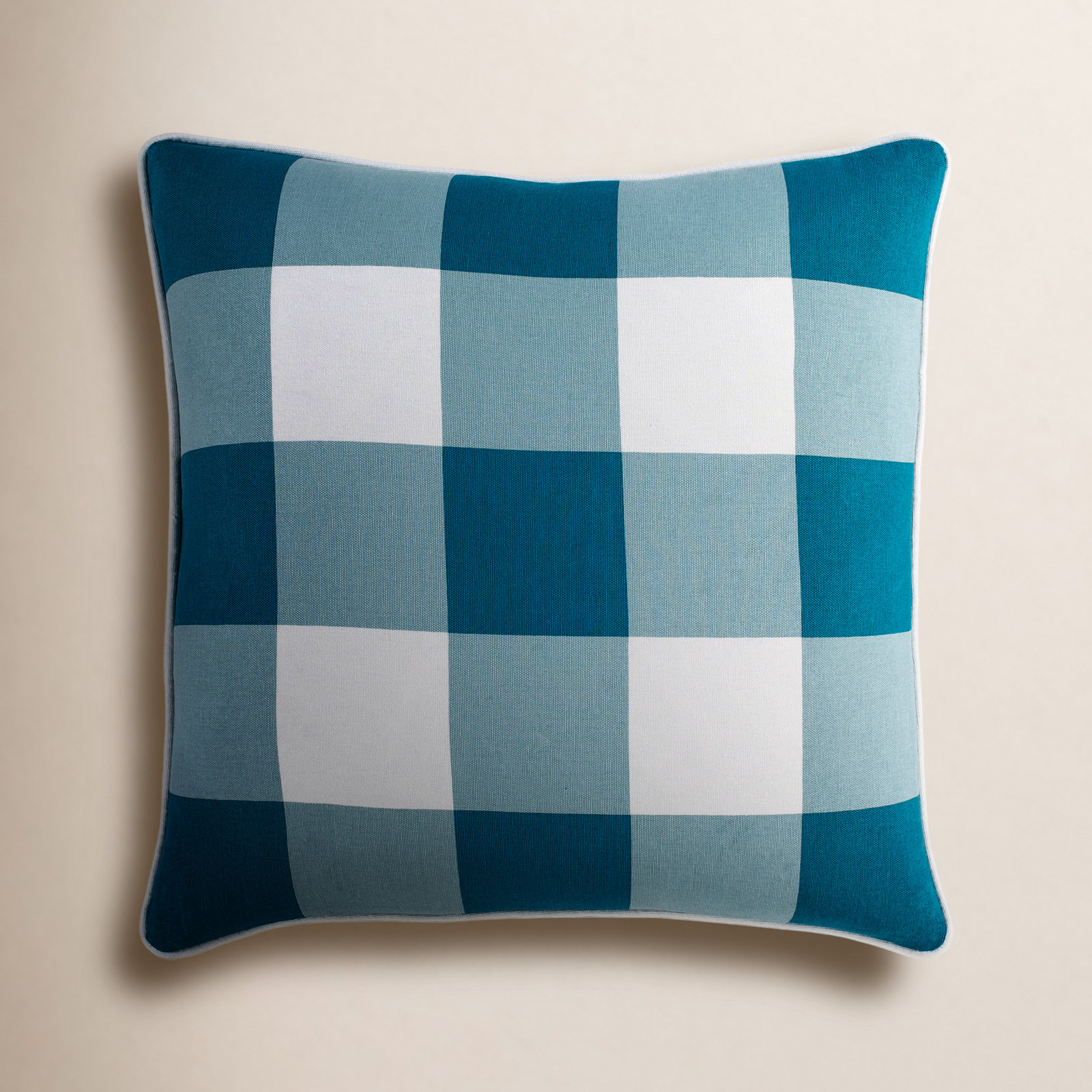 Briarwood 20" x 20" Cotton Pillow Cover, Aqua/White