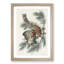 Little Screech Owls by John Audubon - Picture Frame Painting Print-55580714-55580713