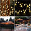 Outdoor 60 - Bulb 240'' Solar Powered LED Wide Angle LED String Light