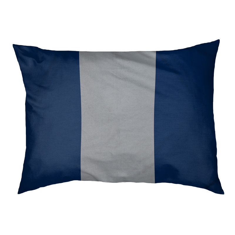 Oreiller Houston Houston, Petit (L 18 po x l 28 po), Bleu / argent plat