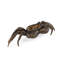 Figurines et sculptures d'animaux Maitland Smith