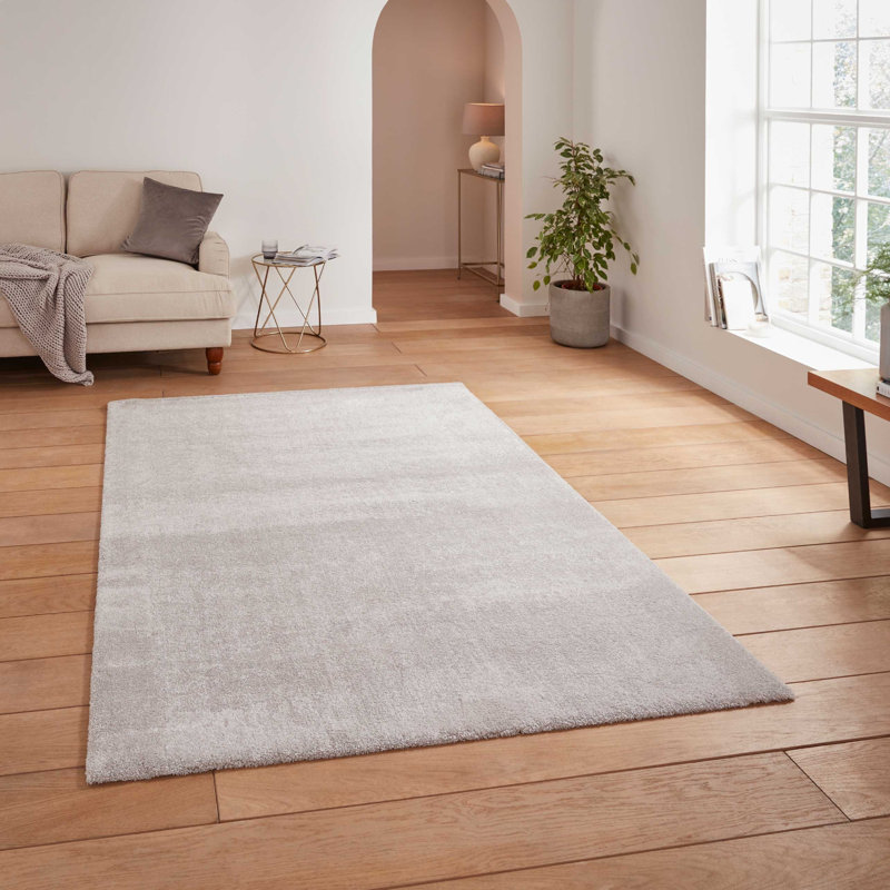 Luisiana area rug Machine Woven Rectangle Silver, Rectangle 120 x 170cm