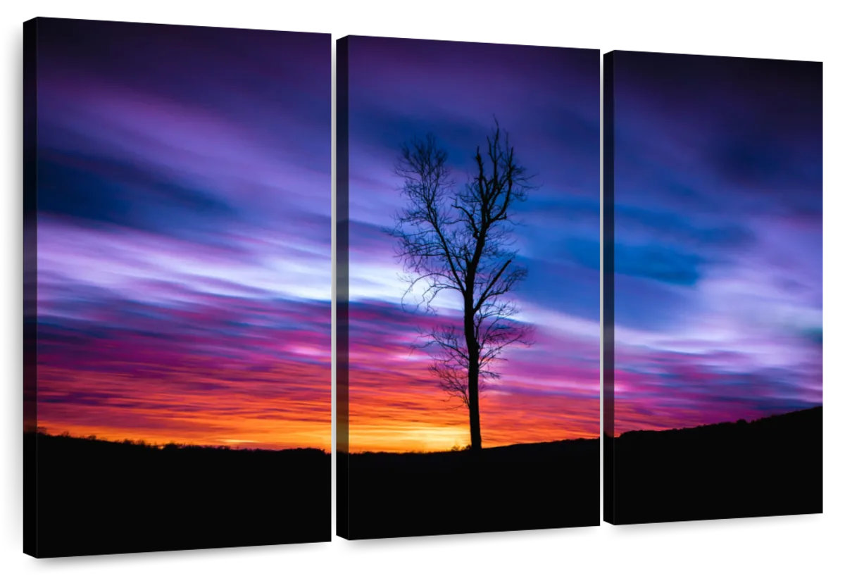 Millwood Pines Alvord Lonely Sunset | Wayfair