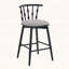 Ensemble de 2 chaises d'appoint, combinant design traditionnel et contemporain pour élégance et confort-424965883