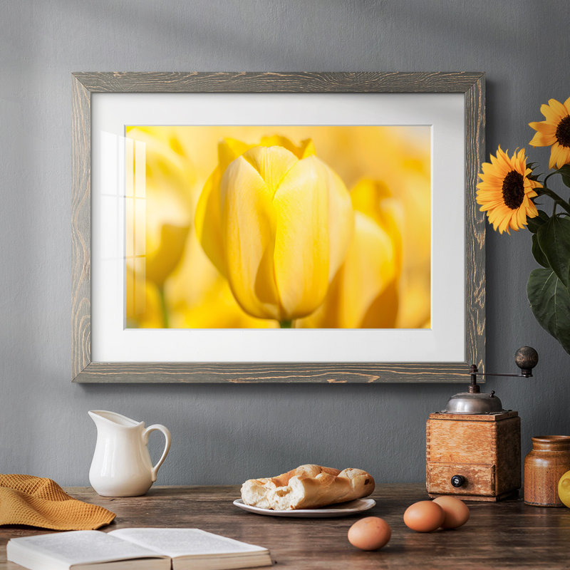 Sunshine Yellow II - impression d'un seul cadre photo, Gris, H 18 po x l 26 po x P 1,5 po