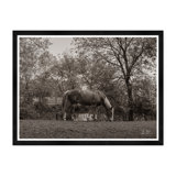 Grazing IV Print by Tim Klein