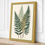 Three Fern Fronds Botanical - Wrapped Canvas-2080680358-2080680353
