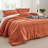 Bedsure Boho Comforter Set - Pinch Pleat Design for All Seasons, Soft Bedding Kit-100517514-100517515