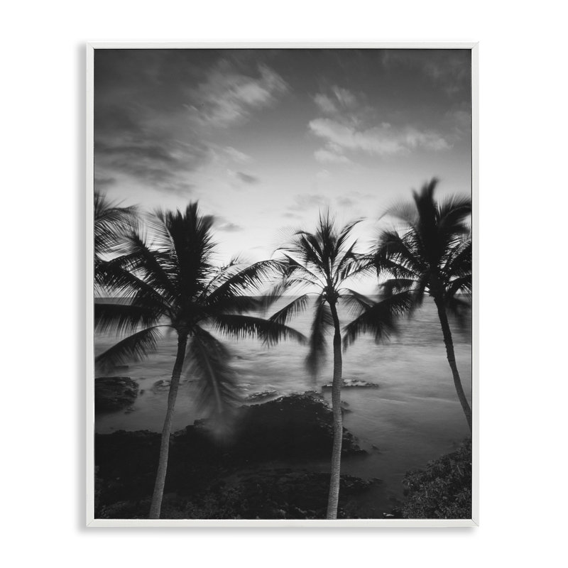 Palmier de la côte, photographie giclée, design par Carol Robinson, H 14 po x l 11 po