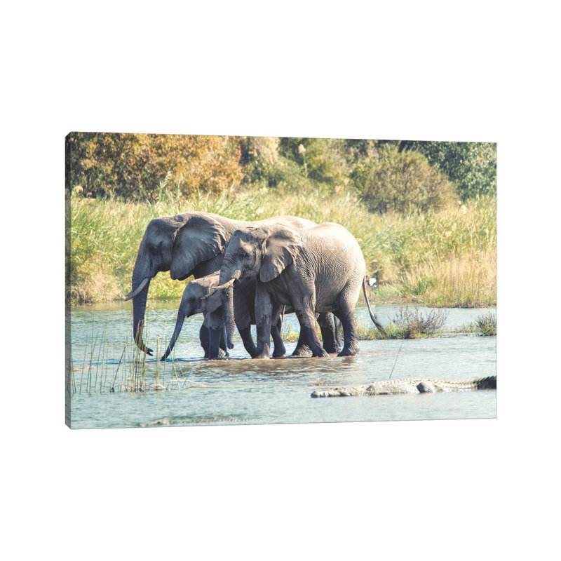 Elephant Trio II by MScottPhotography - Wrapped Canvas Gallery-Wrapped Canvas Giclée, 66.04 cm H x 45.72 cm W x 1.91 cm D