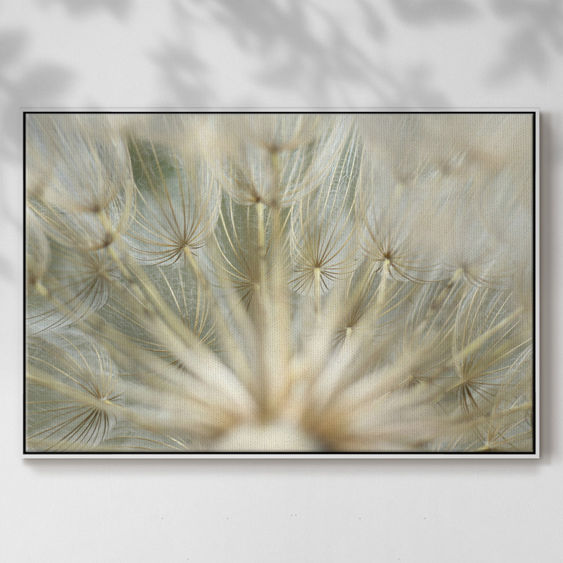 Macro Dandelion IV, reproduction d'art sur toile, Argent, H 27 po x l 41 po x P 2 po