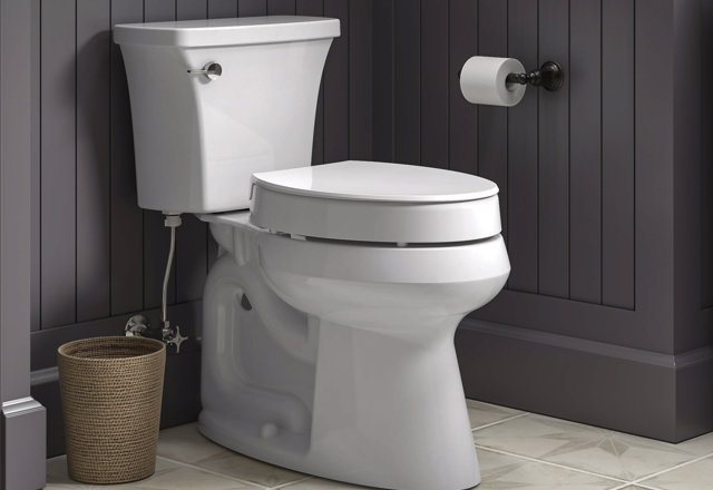 Just for You: Toilet Seats