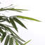 150cm Bamboo Tree in Pot