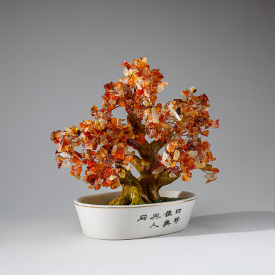 Véritable bonsaï cornaline en pot ovale en céramique (8 po)