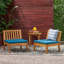 Fauteuil club d'extérieur en bois d'acacia (ensemble de 2)