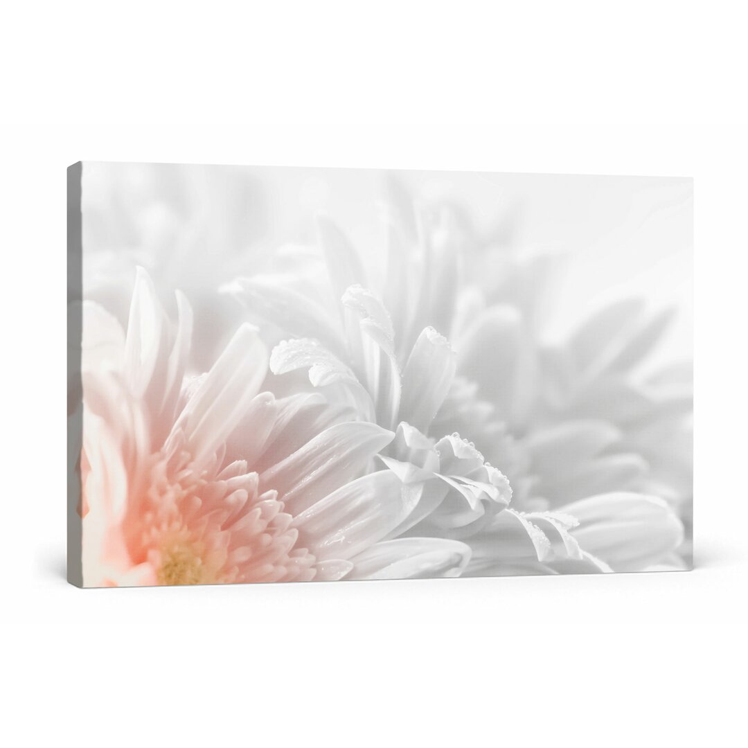 Leinwandbild Gerbera-Blume