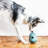 and Hybrid Feeder/Toy-87061917