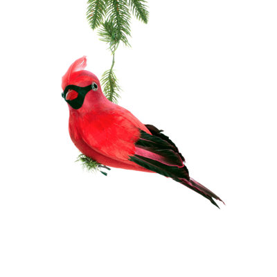 Ornement pince rouge cardinal