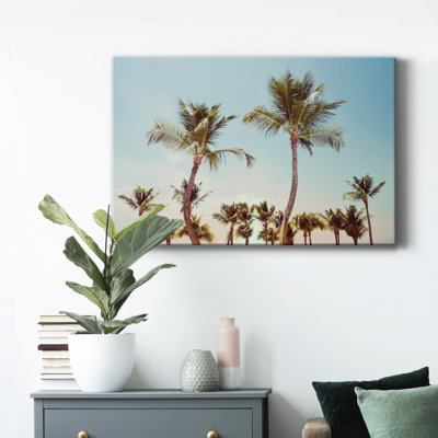 Aruba Palm - photographie sur toile tendue