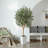 Adcock Artificial Olive Tree with Decorative Pot, UV Resistant Faux Olive Tree with Natural Trunk-1799478850-1799478851