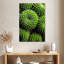 Cactus Harnek-108363196