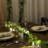 Indoor / Outdoor 100 - Bulb 33.3 in. Plug-in LED Fairy String Light-975905650