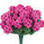 Rose Red