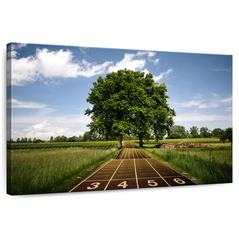 Sireci Jogging Track, 34" H x 51" W