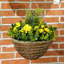 34cm Faux Rose Tree Plant in Basket-525568310