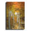 Aspen Glow par Jonathan Ross-1860408667