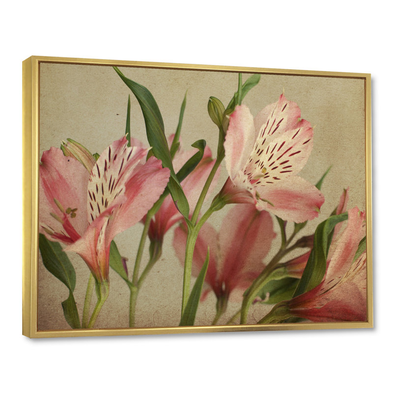 «Retro Alstroemeria Flower», impression sur toile, H 30 po x l 40 po x p 1 po, Toile encadrée d'or