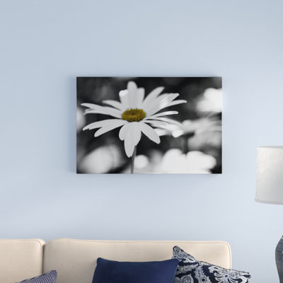 «Sun Speckled Daisy», reproduction d'art sur toile tendue